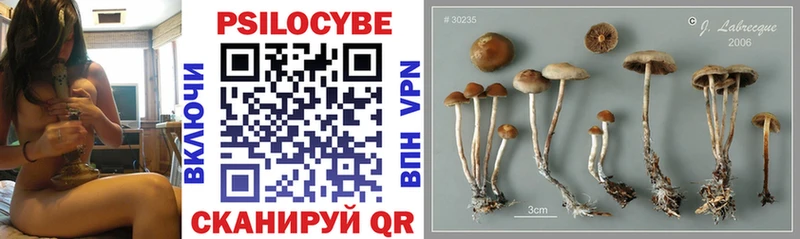 Псилоцибиновые грибы Cubensis  Поворино 